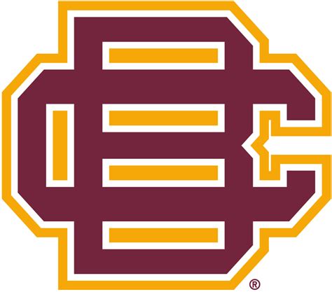Bethune Cookman Wildcats Logo Secondary Logo Ncaa Division I A C