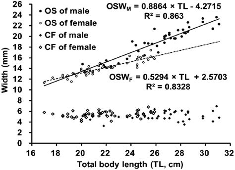 Distribution Of Total Body Length TL Orbitosphenoid Width OSW And