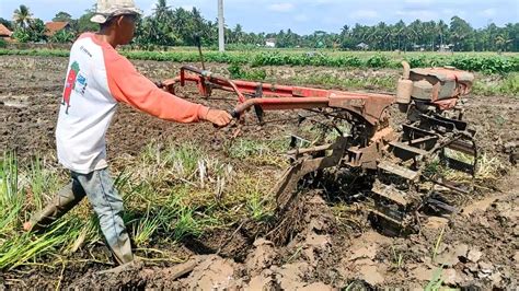 KURANG PENGAIRAN V BELT SAMPAI MAU PUTUS TRAKTOR SAWAH KUBOTA GARAP