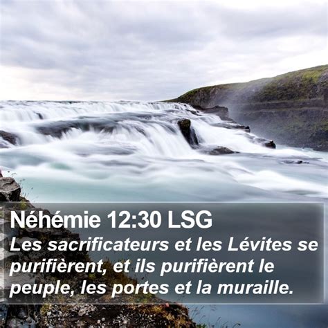 N H Mie Lsg Les Sacrificateurs Et Les L Vites Se