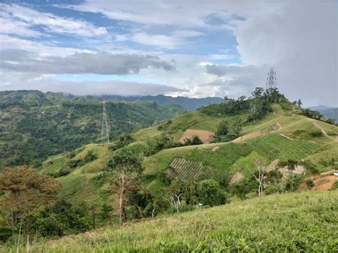 Busay Highlands 2 Farm Lot Resdential In Busay Sudlon 2 Cebu City