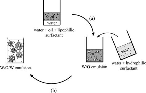 Preparation Of A W O W Double Emulsion In Two Steps A High Shear