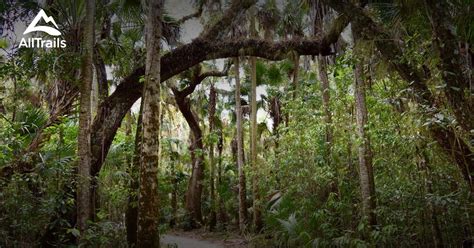 Best hikes and trails in Caloosahatchee Regional Park | AllTrails