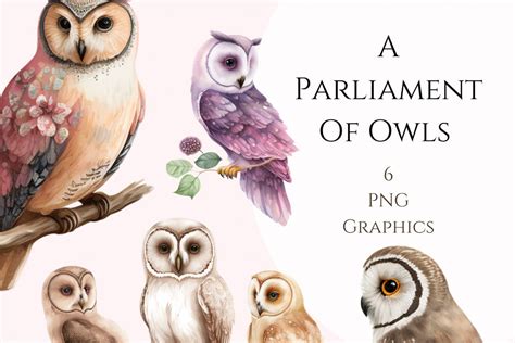 Watercolor Clipart Parliament Of Owls Graphic By More Paper Than