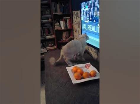 СУПЕРМАЧО - YouTube