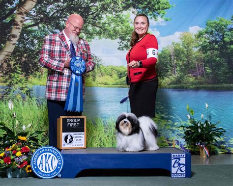 Pug Puppies For Sale