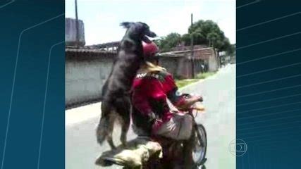 Motociclista Leva Cachorro Na Garupa Em S O Jo O De Meriti Bom Dia