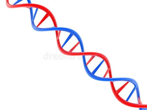 Ejemplo 3d De La Estructura De La DNA En El Fondo Blanco Stock De