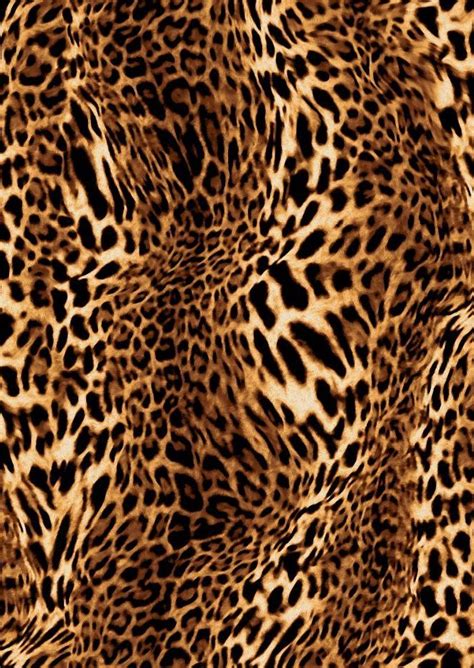 Cheetah Print Wallpaper - Wallpaper Sun