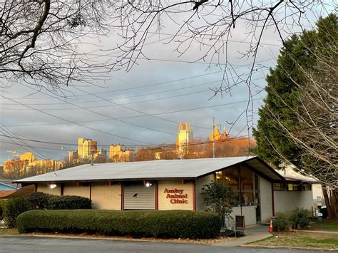 forest hills animal hospital 5