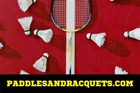 Badminton Vocabulary A Comprehensive Guide To Understanding The