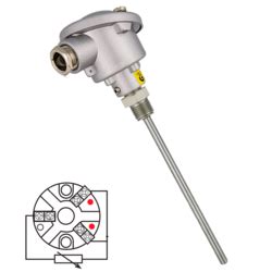 Sonda de temperatura PT100 con cabezal y conexión eléctrica