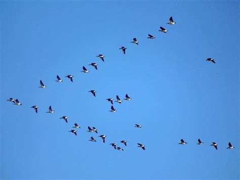 Timeline Photos - Tucumcari and Quay County Then and Now | Tucumcari