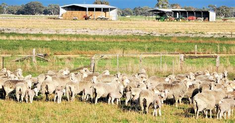 Drought Proof Farm And Lucerne Operation Sold In South Australia