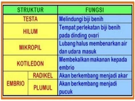 Percambahan Biji Benih