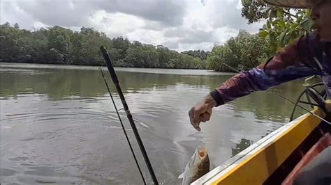 Akhirnya Ketemu Juga Sarang Babonnya Muara Riko Mancing Balikpapan