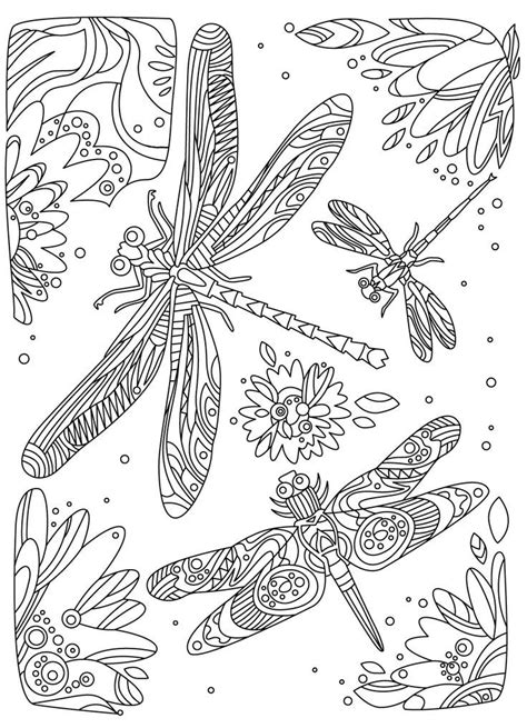 Adult Coloring Pages Dragonfly Ferrisquinlanjamal