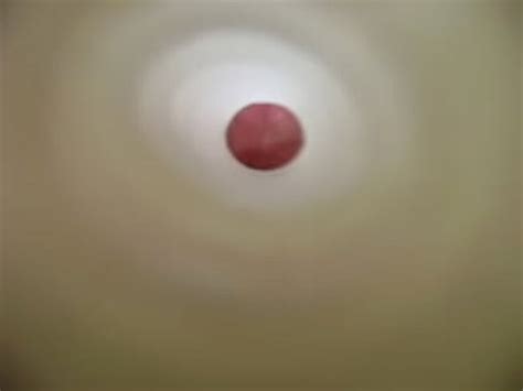 Cumming Inside My Fleshlight XVIDEOS