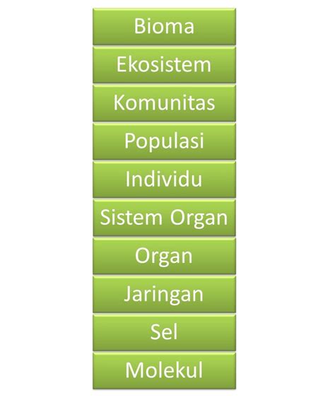 Ilmu Biologi Sma Struktur Organisasi Kehidupan