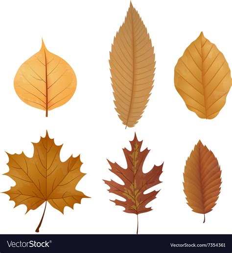 Сухие Листья Картинки Для Детей – Telegraph