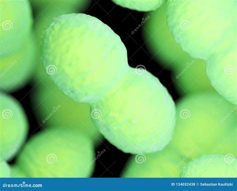 An Enterococcus Bacteria Stock Illustration Illustration Of Medically