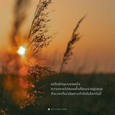 Closer Than You Think - Mustard Seed