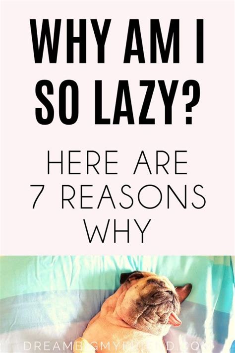 Why Am I So Lazy 7 Reasons Why And What You Can Do About It How To