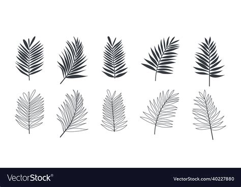 Tropical leaves palm set of icons Royalty Free Vector Image