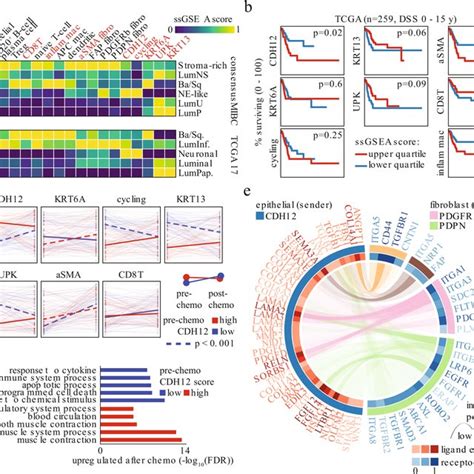 Gene Signatures Derived From Single Nuclei Sequencing And Spatial