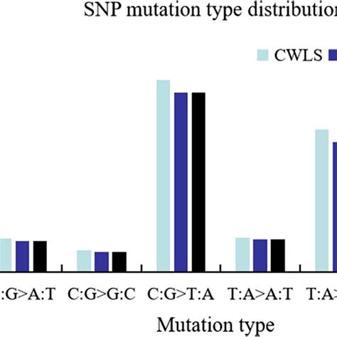 Snps Mutation Spectrum Ta Cg And Cg Ta Belong To Transition