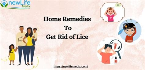 Home Remedies to Get Rid of Lice