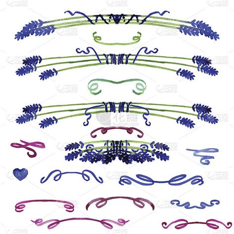 一套水彩设计元素 薰衣草和缎带