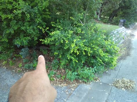 Prison Forced Gay Sex Porn Maplegasw