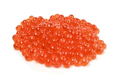 roe definition  meaning collins english dictionary