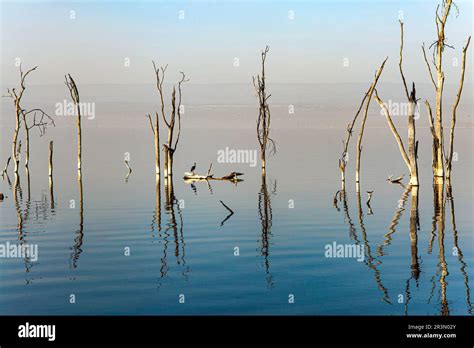 East African Rift Valley Stock Photo Alamy