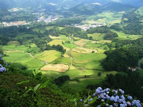 Full Day Furnas Azoren X Tour Vanuit Ponta Delgada Getyourguide