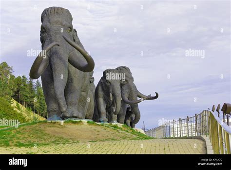 Russia tundra animals hi-res stock photography and images - Alamy