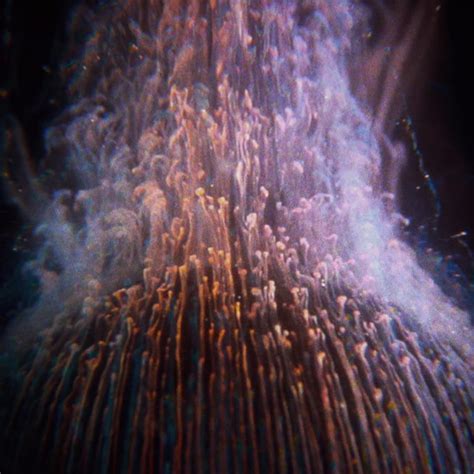 The Double-Blind... - The Double-Blind Experiments