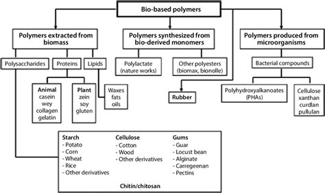 4 Classification Of Biobased Polymers From Renewable Resources Babu Et