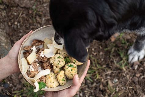 Homemade Vegan Dog Food Recipe ׀ Soybean Dumplings