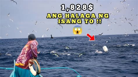 Palutang Lutang Lang Ito Sa Dagat Ang Laki Pala Ng Halaga Youtube