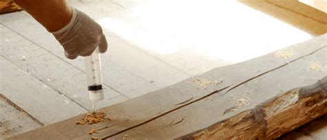 Защита древесины от огня, гниения и насекомых