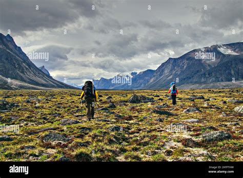 Trekking Por La Tundra Rtica A Lo Largo Del R O Owl En El Paso De Paso