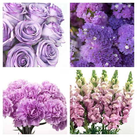 Light Purple Flowers Purple Flowers | Flying Flowers