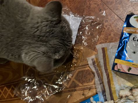 Корм для кошек Purina Гурме соус де люкс с курицей - «Коту понравился ...