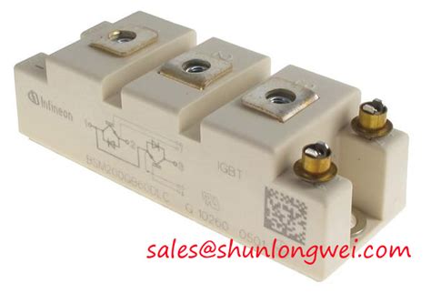 Infineon BSM200GB60DLC 재고 있음 Shunlongwei Co Ltd