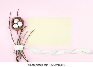 Pink Pussy Willow Tree Images Stock Photos Vectors Shutterstock