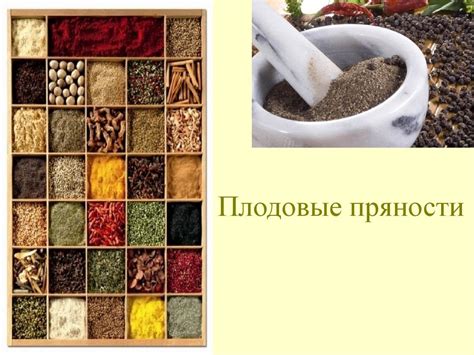Пряности и приправы - online presentation