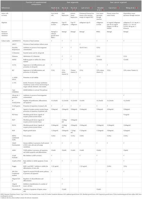 Frontiers Liver Organoids A Promising Three Dimensional Model For Insights And Innovations In