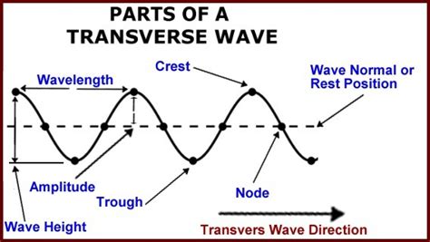 Diagram Of A Transverse Wave